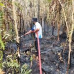 Tim pemadam Universitas Palangka Raya (UPR) saat memadamkan api kebakaran lahan di kawasan kampus, Rabu (2/8/2026).