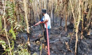 KEBAKARAN LAHAN UPR Tim pemadam Universitas Palangka Raya (UPR) saat memadamkan api kebakaran lahan di kawasan kampus, Rabu (2/8/2026).