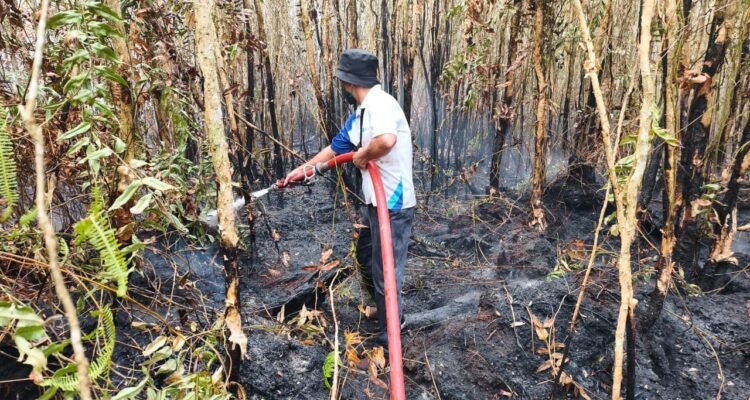 Tim pemadam Universitas Palangka Raya (UPR) saat memadamkan api kebakaran lahan di kawasan kampus, Rabu (2/8/2026).